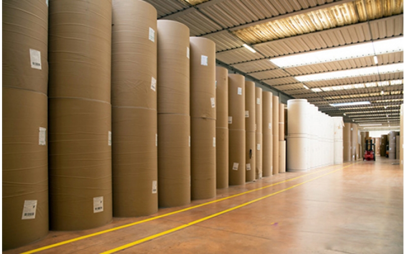 你對紙了解嗎？看看這五花八門的紙張世界